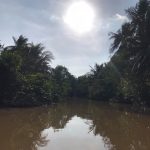 Các nhánh kênh rạch nhỏ tại Cửu Long Giang có dòng chảy êm đềm; khung cảnh xanh mướt thu hút các tay chèo đắm mình vào cảnh sắc thiên nhiên.