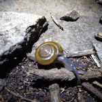 Hồ Trị An _ Ảnh: Danh Võ