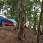 Hồ Trị An _ Ảnh: Danh Võ