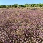 260428307_4645756885489621_4654060382610676954_n