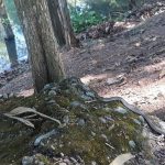 Hồ Trị An _ Ảnh: Danh Võ