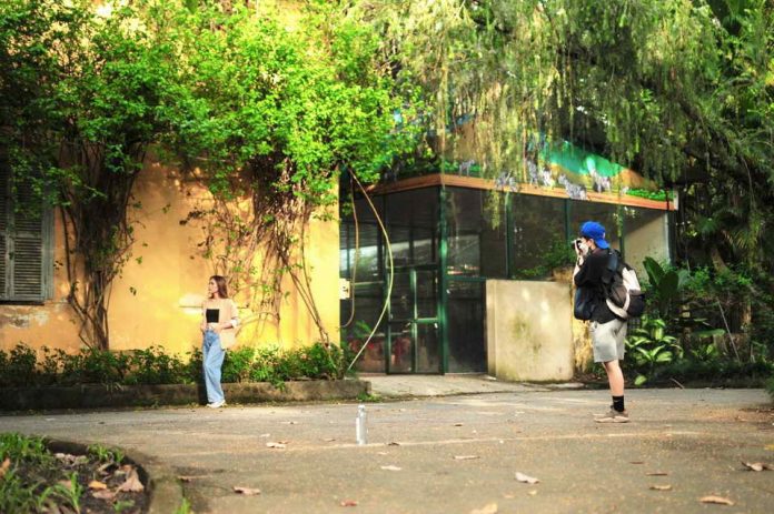 81ed8382e0872bd97296 (1)