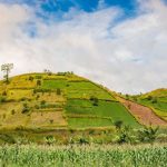 Tay Nguyen Ngay 3 10