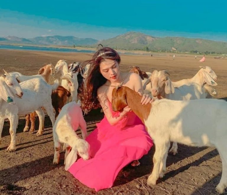 Bãi Dê Tiên Sơn, bức họa đồng quê tuyệt đẹp cạnh Biển Hồ trên cao nguyên