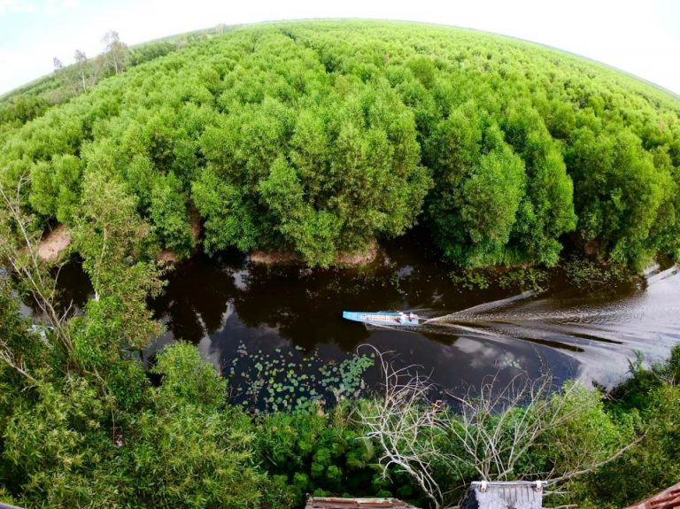 Trải nghiệm thiên nhiên tuyệt đẹp và đặc sản của rừng ngập nước U Minh Hạ