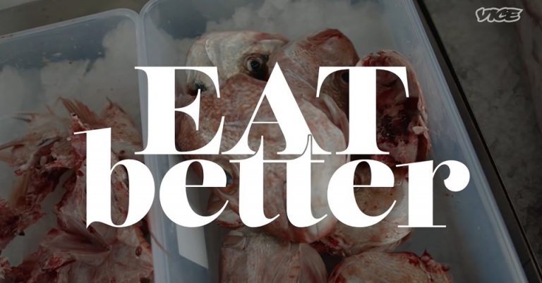 Cách người Maori tận dụng những thứ bỏ đi để chế biến thành món ăn ngon